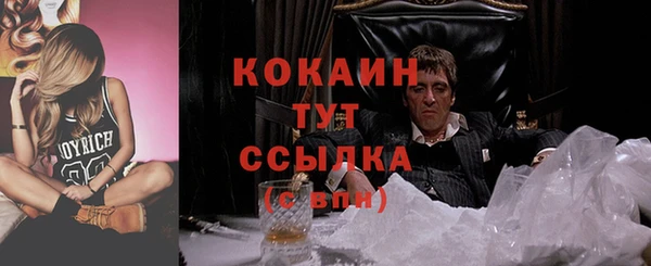 твердый Ельня