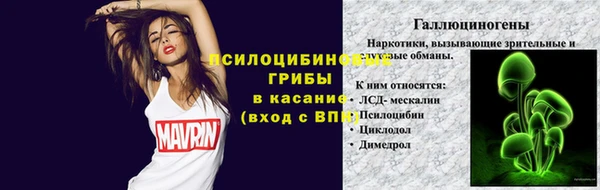 твердый Ельня