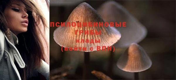 спиды Тутаев