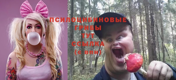 твердый Ельня