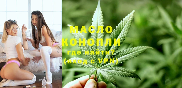 твердый Ельня