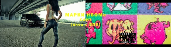 твердый Ельня