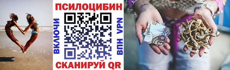 Псилоцибиновые грибы Psilocybe где продают Старица
